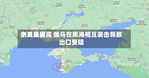小麦费用
创三年新高 俄乌在黑海相互袭击导致出口受阻-第3张图片