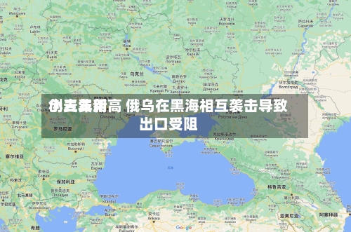 小麦费用
创三年新高 俄乌在黑海相互袭击导致出口受阻-第2张图片