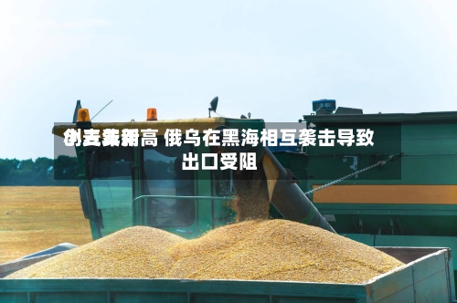 小麦费用创三年新高 俄乌在黑海相互袭击导致出口受阻
