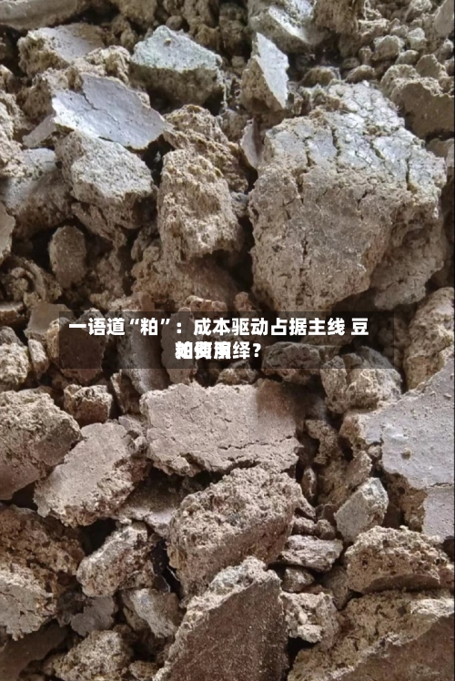 一语道“粕	”：成本驱动占据主线 豆粕费用如何演绎？-第1张图片