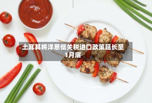 土耳其将洋葱低关税进口政策延长至1月底