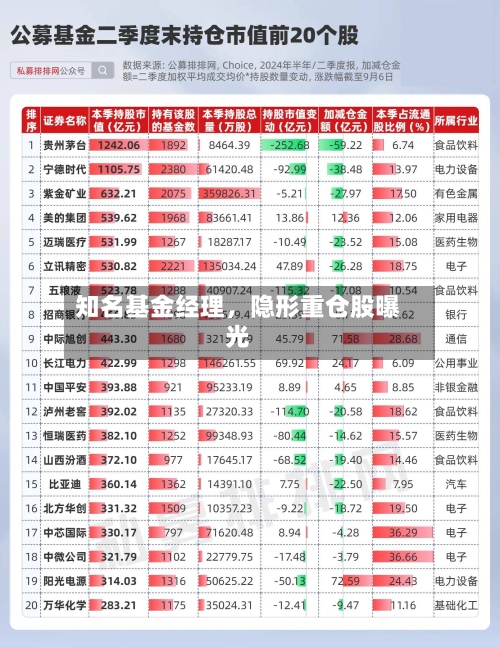 知名基金经理，隐形重仓股曝光