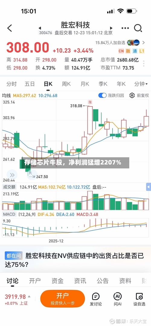 存储芯片牛股，净利润猛增2207%-第2张图片