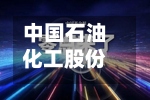 中国石油化工股份连续2日回购，累计回购462.60万股-第2张图片