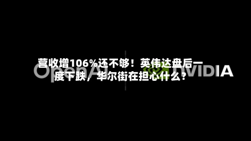 营收增106%还不够！英伟达盘后一度下跌，华尔街在担心什么？-第2张图片