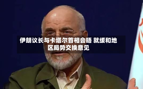 伊朗议长与卡塔尔首相会晤 就缓和地区局势交换意见-第2张图片