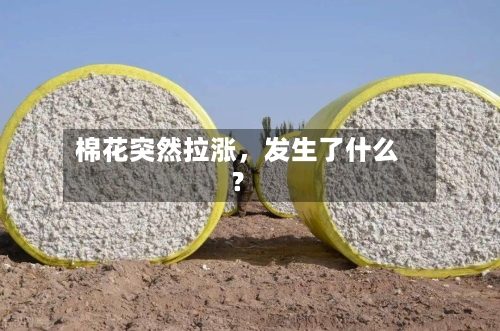 棉花突然拉涨	，发生了什么？-第1张图片