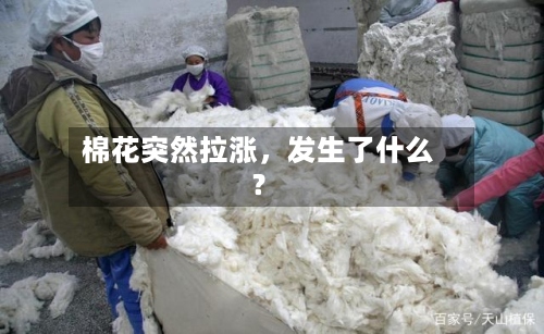棉花突然拉涨	，发生了什么？-第3张图片