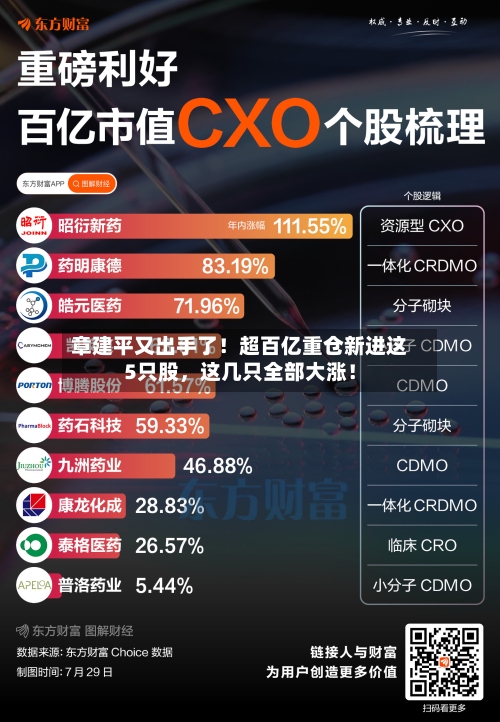 章建平又出手了！超百亿重仓新进这5只股，这几只全部大涨！-第2张图片