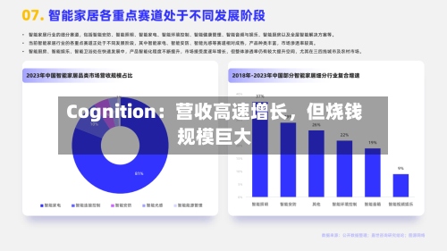 Cognition：营收高速增长	，但烧钱规模巨大-第2张图片