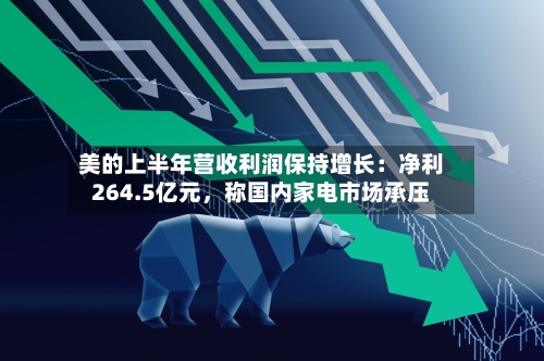 美的上半年营收利润保持增长：净利264.5亿元，称国内家电市场承压