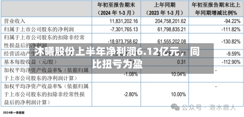 沐曦股份上半年净利润6.12亿元	，同比扭亏为盈-第2张图片