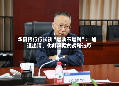 华夏银行行长谈“增收不增利”： 加速出清、化解风险的战略选取-第2张图片