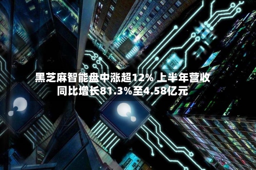 黑芝麻智能盘中涨超12% 上半年营收同比增长81.3%至4.58亿元-第2张图片