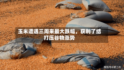 玉米遭遇三周来最大跌幅，获利了结打压谷物涨势