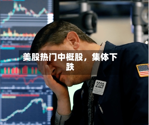 美股热门中概股	，集体下跌-第3张图片