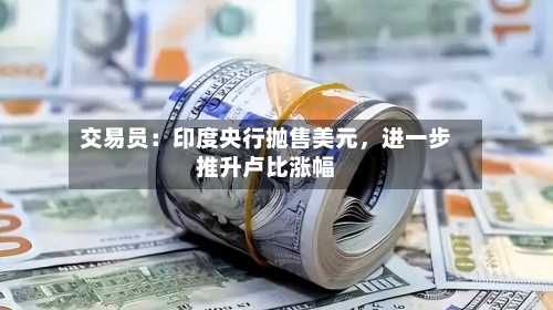交易员：印度央行抛售美元，进一步推升卢比涨幅-第2张图片