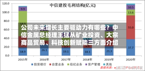 公司未来增长主要驱动力有哪些？中信金属总经理王猛从矿业投资、大宗商品贸易、科技创新赋能三方面介绍-第3张图片