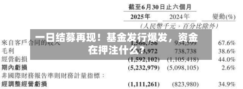 一日结募再现！基金发行爆发，资金在押注什么？-第2张图片