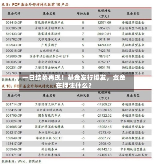 一日结募再现！基金发行爆发，资金在押注什么？-第3张图片