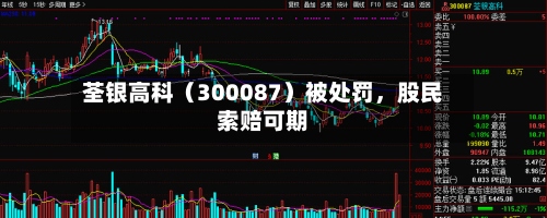 荃银高科（300087）被处罚，股民索赔可期-第2张图片