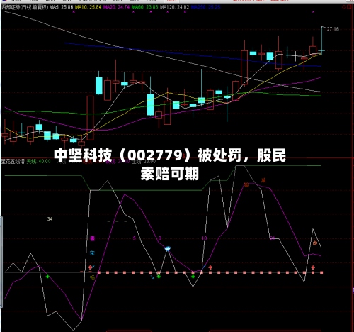 中坚科技（002779）被处罚，股民索赔可期-第2张图片