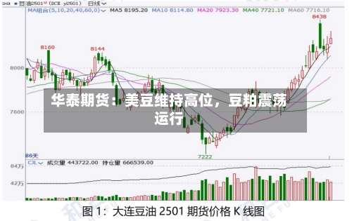 华泰期货：美豆维持高位，豆粕震荡运行-第2张图片