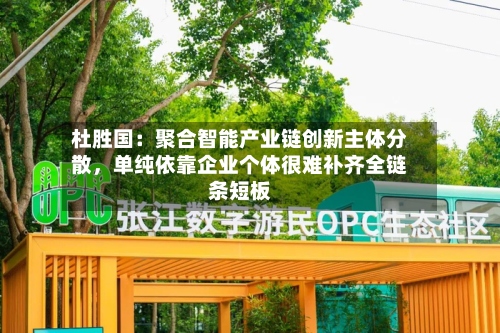 杜胜国：聚合智能产业链创新主体分散，单纯依靠企业个体很难补齐全链条短板-第2张图片