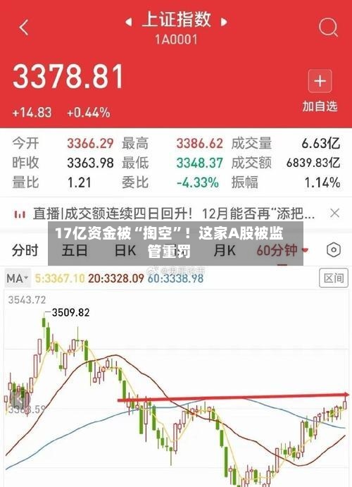 17亿资金被“掏空”！这家A股被监管重罚-第2张图片