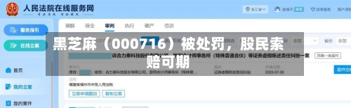黑芝麻（000716）被处罚，股民索赔可期-第2张图片