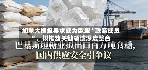 加拿大据报寻求成为欧盟“联系成员”，拟推动关键领域深度整合-第2张图片