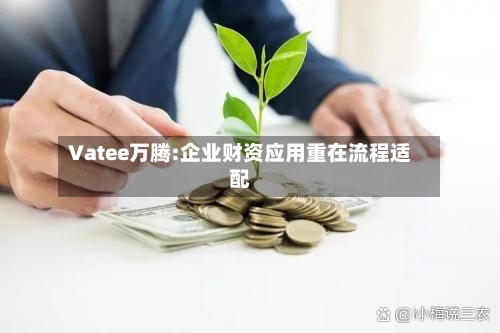 Vatee万腾:企业财资应用重在流程适配-第3张图片