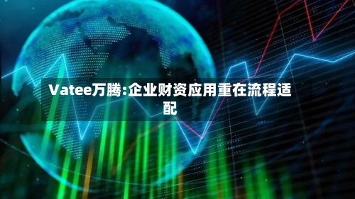 Vatee万腾:企业财资应用重在流程适配-第1张图片