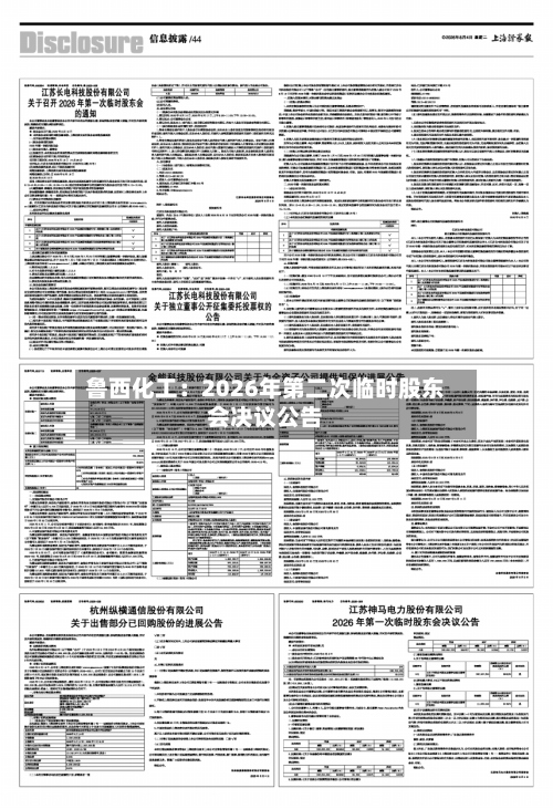 鲁西化工：2026年第二次临时股东会决议公告