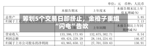 筹划5个交易日即终止	，金橙子重组“闪电	”告吹-第2张图片