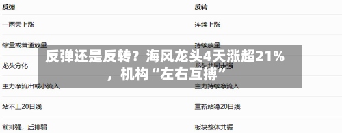 反弹还是反转？海风龙头4天涨超21%，机构“左右互搏”