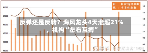 反弹还是反转？海风龙头4天涨超21%，机构“左右互搏”-第2张图片