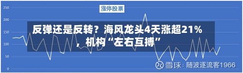反弹还是反转？海风龙头4天涨超21%，机构“左右互搏	”-第3张图片