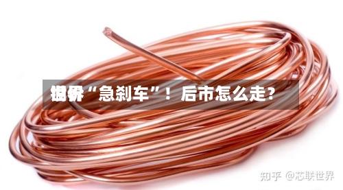 世界铜价“急刹车	”！后市怎么走？-第3张图片
