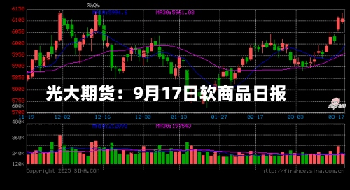 光大期货：9月17日软商品日报-第1张图片