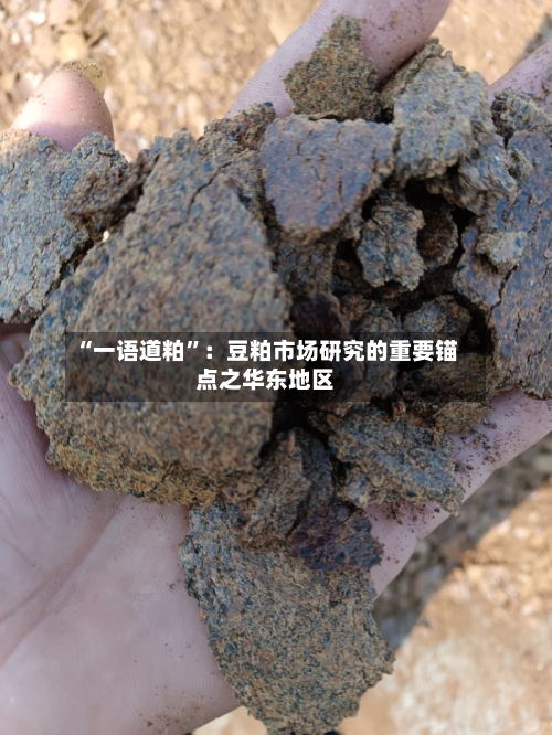 “一语道粕”：豆粕市场研究的重要锚点之华东地区-第2张图片