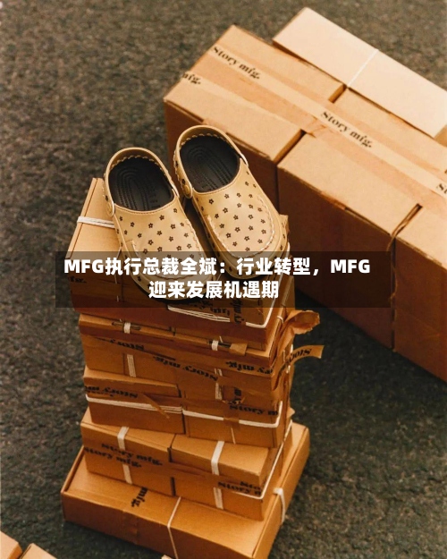 MFG执行总裁全斌：行业转型，MFG迎来发展机遇期-第2张图片