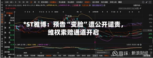 *ST雅博：预告“变脸	”遭公开谴责	，维权索赔通道开启-第2张图片