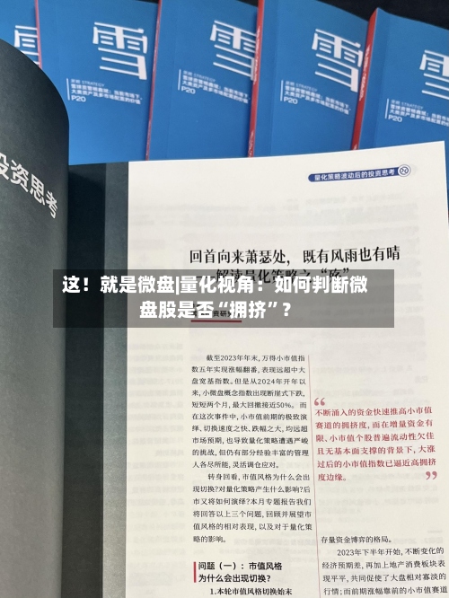 这！就是微盘|量化视角：如何判断微盘股是否“拥挤”？-第3张图片