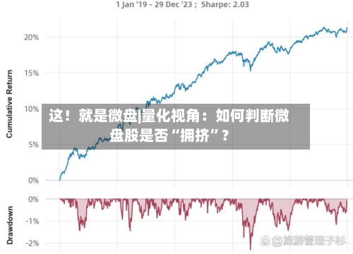 这！就是微盘|量化视角：如何判断微盘股是否“拥挤”？-第2张图片