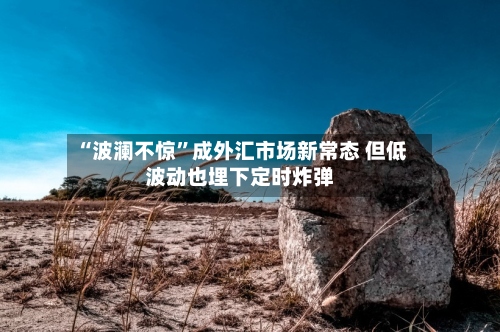 “波澜不惊”成外汇市场新常态 但低波动也埋下定时炸弹-第3张图片