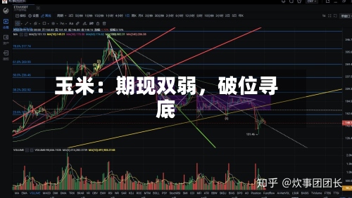 玉米：期现双弱	，破位寻底-第3张图片