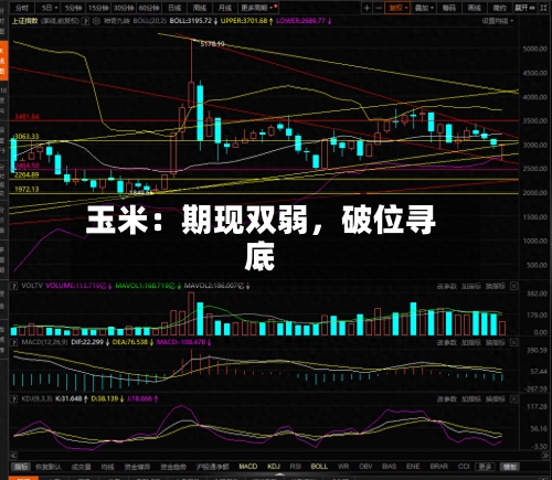 玉米：期现双弱，破位寻底-第2张图片