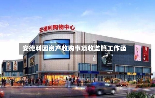 安德利因资产收购事项收监管工作函-第2张图片