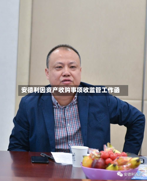 安德利因资产收购事项收监管工作函
